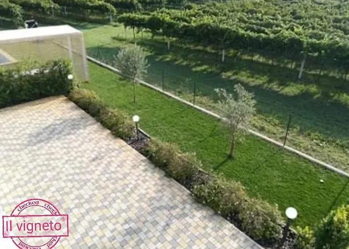 Il Vigneto